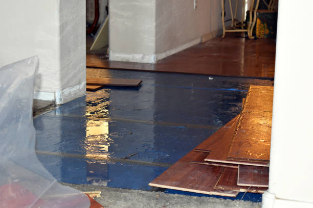 Professional Sewage Cleanup technician working in Burlington, ME